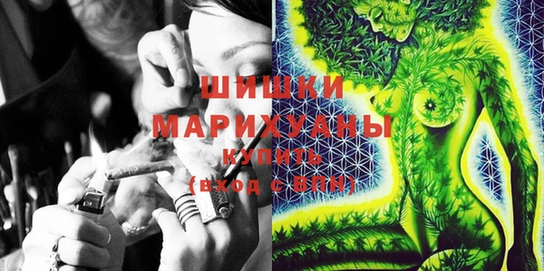 индика Белоозёрский