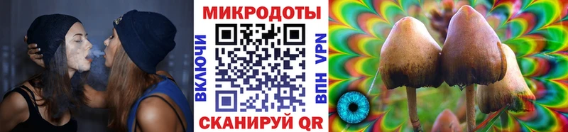 цены наркотик  Улан-Удэ  Псилоцибиновые грибы мицелий 